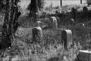 cimitero ebraico 7°